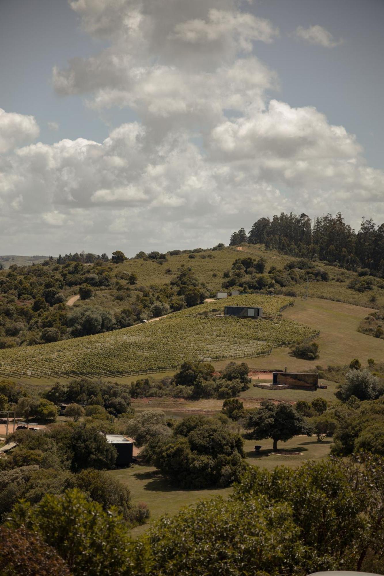 Sacromonte - Vineyard And Landscape Hotel El Eden ภายนอก รูปภาพ