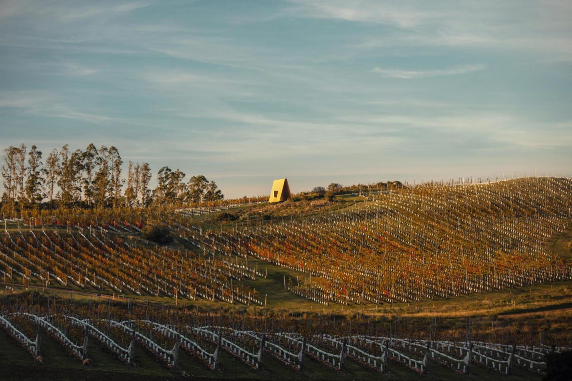 Sacromonte - Vineyard And Landscape Hotel El Eden ภายนอก รูปภาพ
